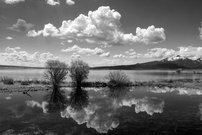 Cloud Reflection at Henry's Lake, Idaho