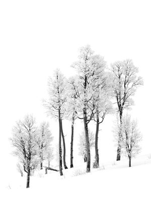 _IMG5927.jpg