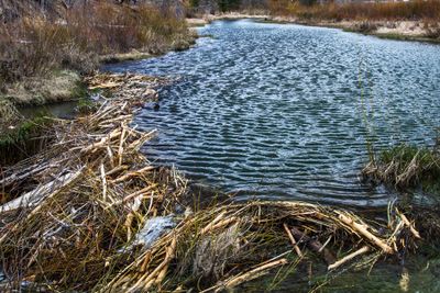 Beaver Ponds Utah
