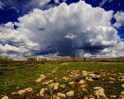 Mushroom Cloud