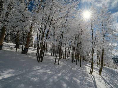 Utah Winter