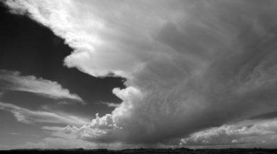 IMG_0304.jpeg