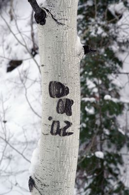 IMGP2673.jpg