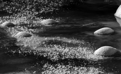 IMG_0370.jpeg
