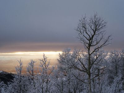 IMGP8614.jpg