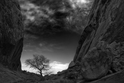 The Sentry