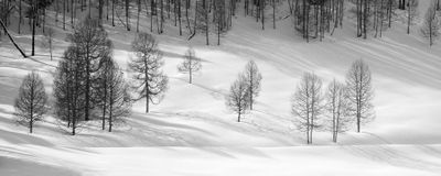 3576_77.jpg mono