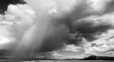 Black and White Montana