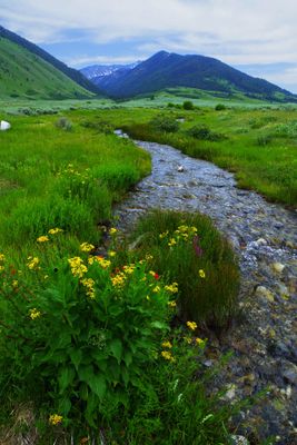 Montana Landscapes