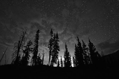 Star and Night Photography