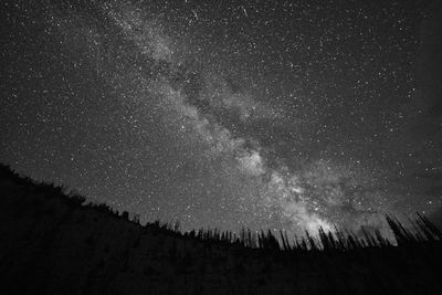 Star and Night Photography