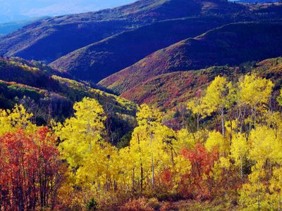 Utah Fall 2025