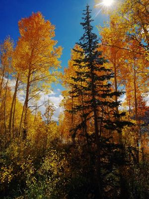 Utah Fall 2025
