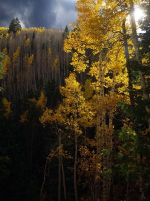 Utah Fall 2025