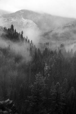 Black And White Idaho