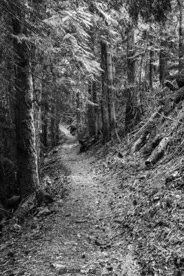 Black And White Idaho