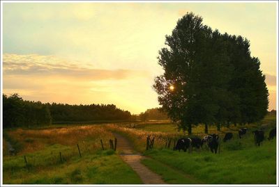Nature & Rural life  2007