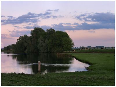 Nature May 2006