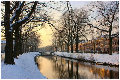 BREDA 2010