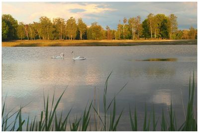 Nature & Rural life 2021