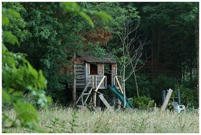 Nature & Rural life 2025