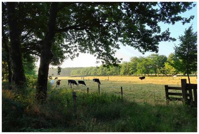 Nature & Rural life 2025