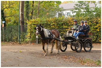 TETERINGEN Teteringseheide & Cadettenkamp