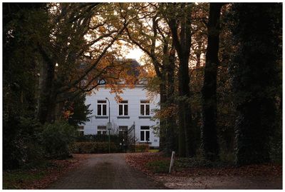 Nature & Rural life 2022