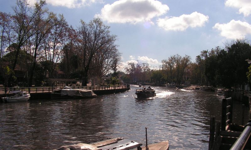 Tigre.jpg