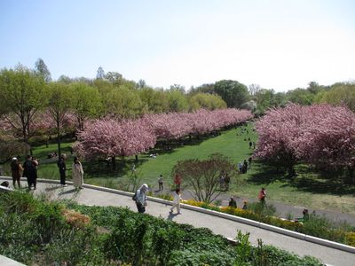 IMG_1856.jpg