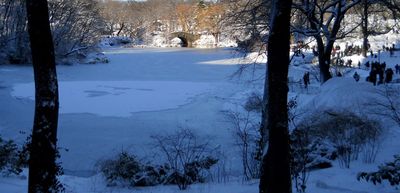 snow in Central Park.jpg