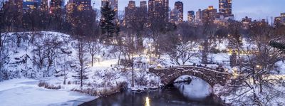 central park.jpg