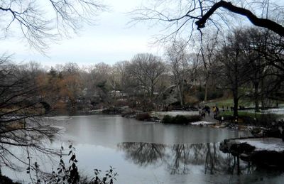 Central Park Pond 3.jpg