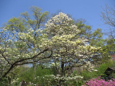 IMG_2738.jpg