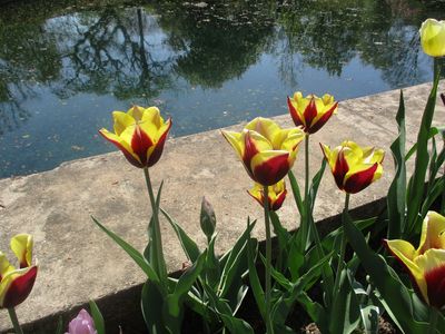IMG_2746.jpg