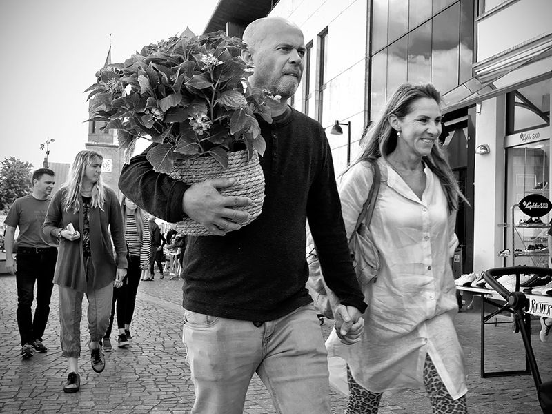 Plant to take home