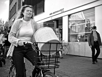 Basket shopper