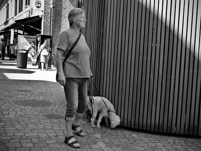 Walking the dog 17