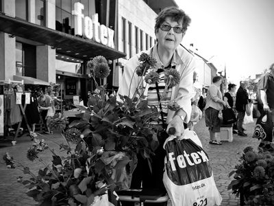 Flower plants to take home