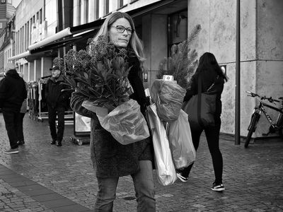 Plants to take home