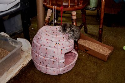 IMG_6559.jpg