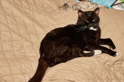 TicTok     IMG_2498.jpg