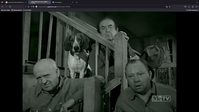 Screen Shot 2023-06-13 at 12.30.26 AM.png