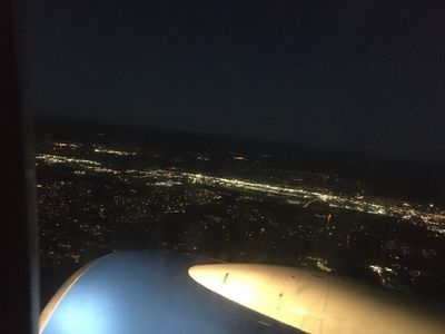 Glo flying into Seattle.jpg