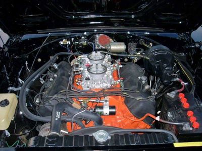 412492625_869986834611603_5928131027527467453_n.jpg