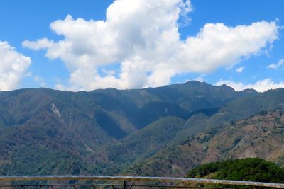 IMG_2635.jpg