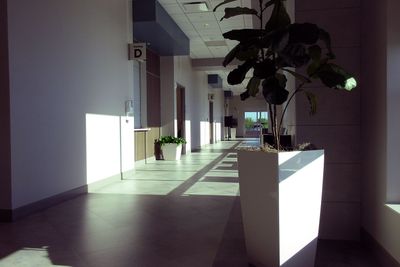 IMG_2537.jpg