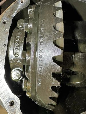 436319884_10211842314371174_4187136685642067760_n.jpg
