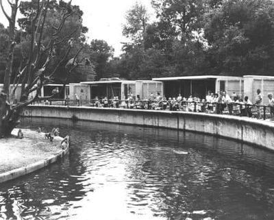 Monkey Island at the zoo.