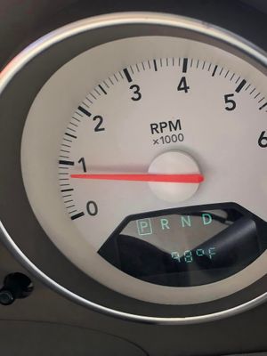 450681200_10232014843089791_7528881952658028483_n.jpg